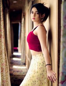 escort service in Phagwara